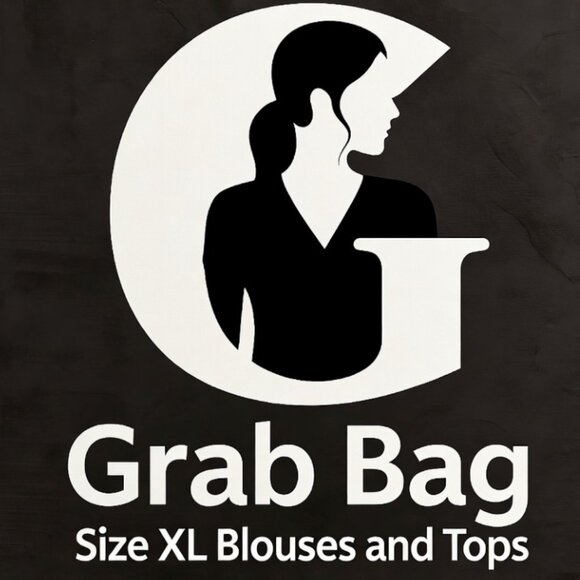 Surprise Bag XL Ladies Blouses and Tops Gently Loved Party or Business Casual - Picture 1 of 2